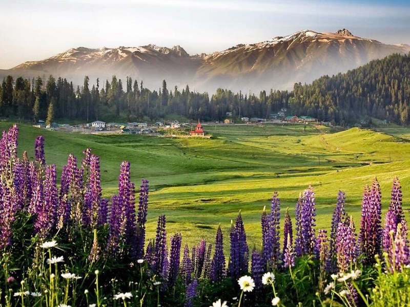 Reasons That Make Kashmir Heaven on Earth