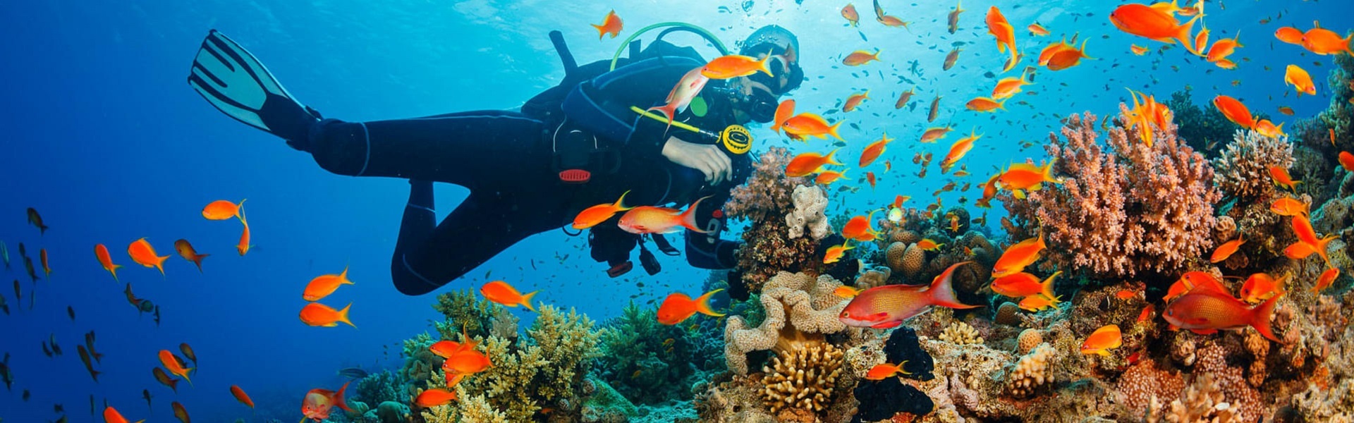 5 Popular Sites in Andamans for Scuba Diving