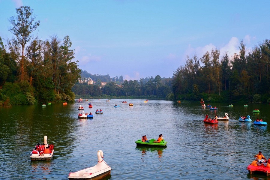 ooty tourist places park