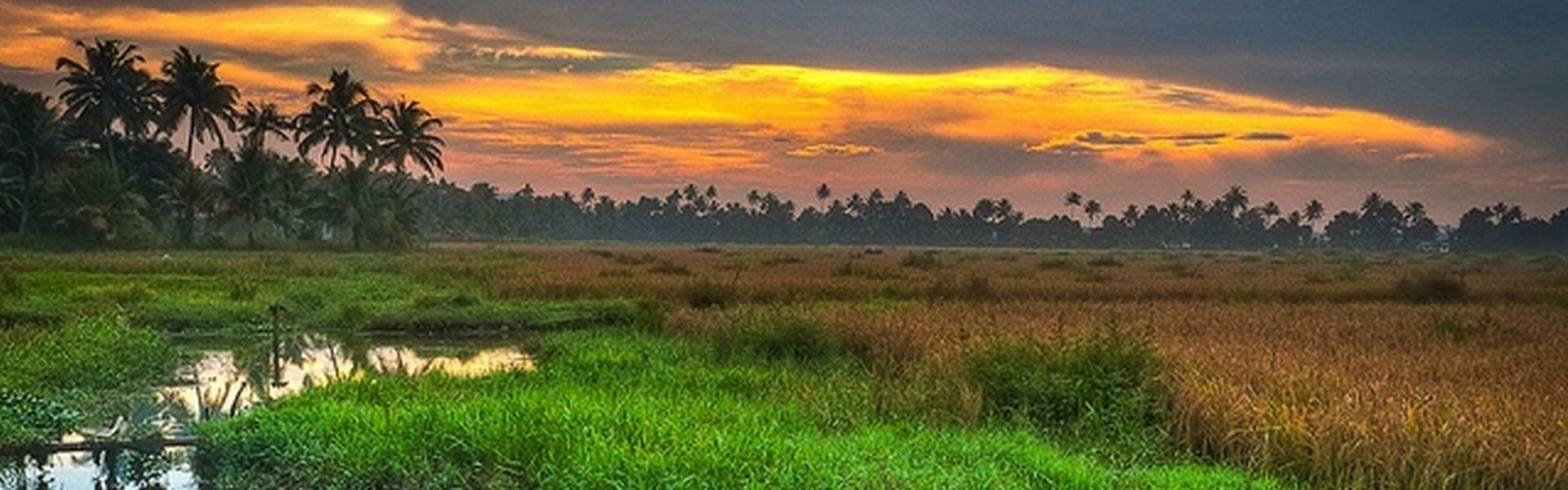Amazing Places to Visit in Kerala in Monsoon
