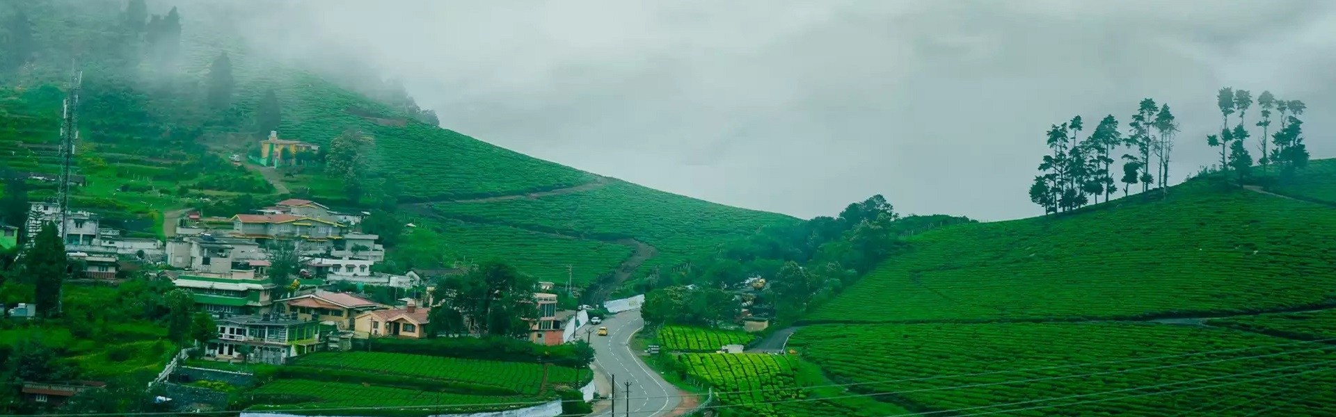 Best Places to Visit in Ooty 2-Day Trip