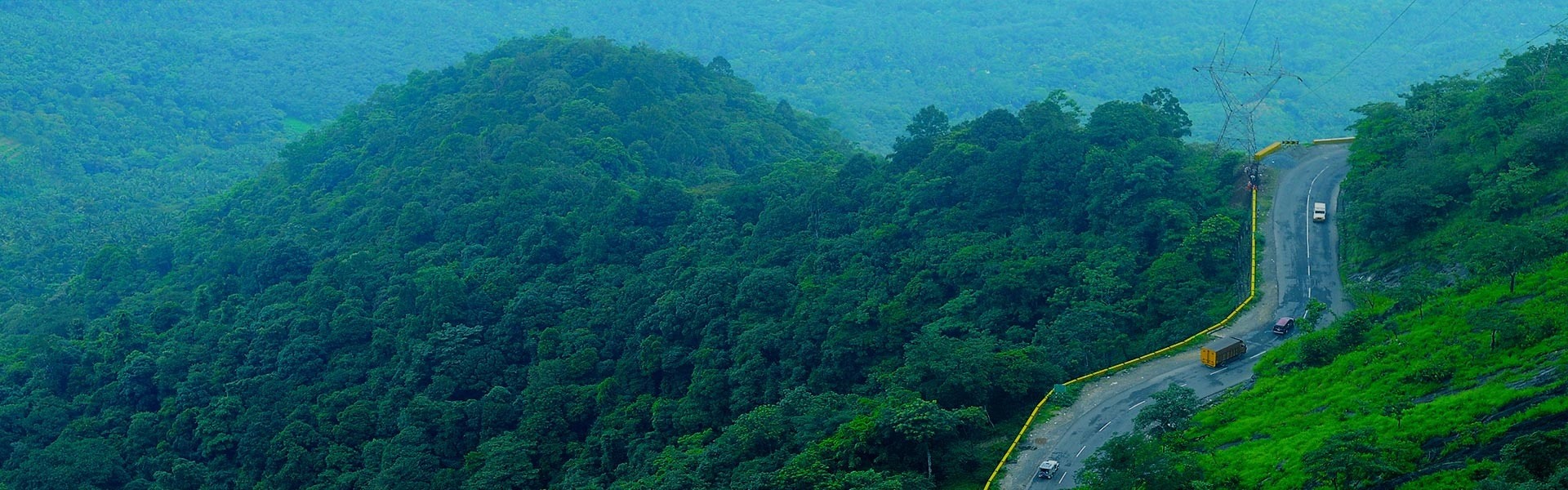 Amazing Places to Visit in Wayanad 2-Day Trip