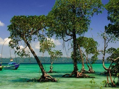 2 best 5 day trips near andaman islands