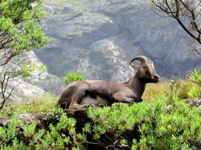 munnar trip from mumbai