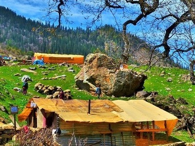 manali tour package panickers travel