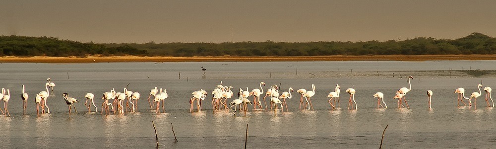 13 Best Scenic Places in Andhra Pradesh 