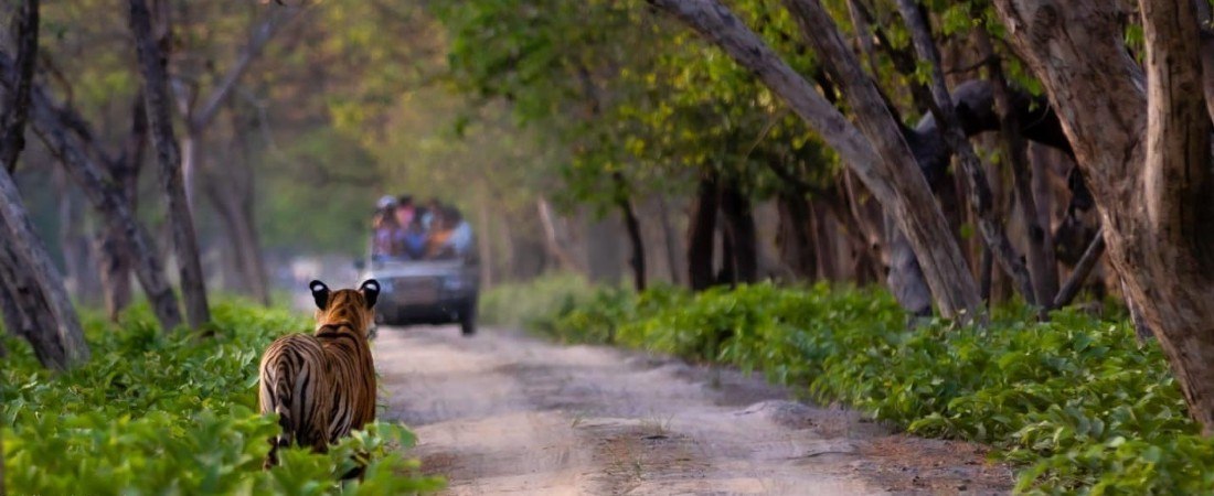 19 Best Tourist Places to Visit near Bhopal (2026)