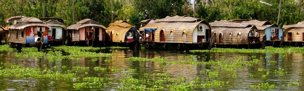 33 Best Lakes & Backwaters in Kerala 