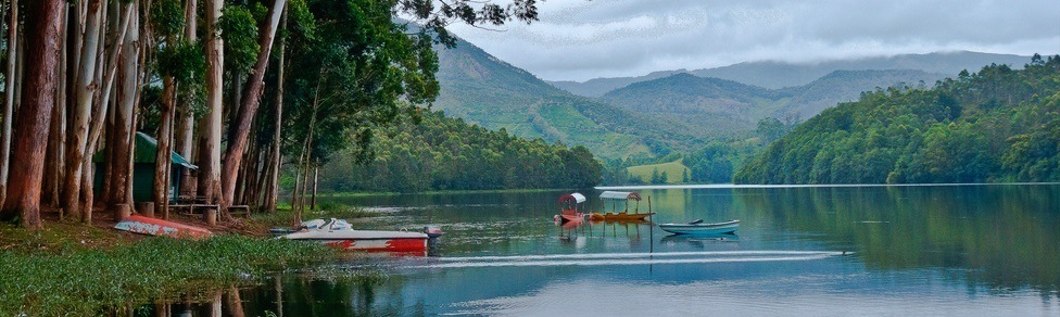 24 Best Hill Stations near Kochi (Cochin) (2025)
