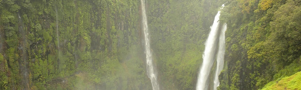 14 Best Waterfalls near Mumbai 