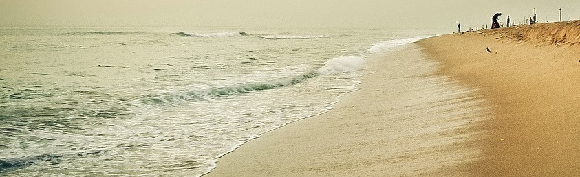 19 Best Beaches in Tamil Nadu 