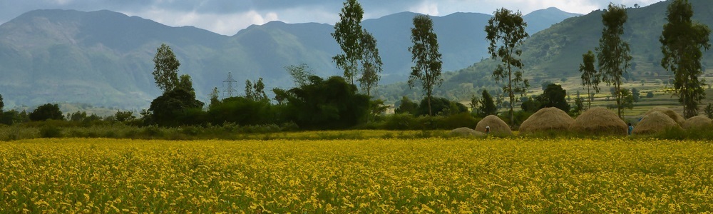 23 Places to Visit near Vizag (Visakhapatnam) within 200 kms (2025)