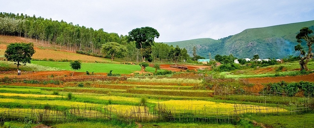 araku valley tourism booking